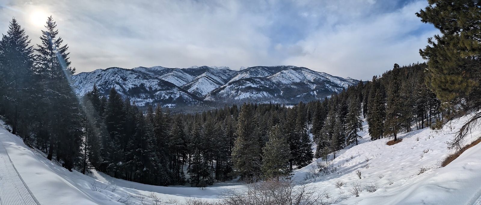 Snow-covered slope and evergreen forest with a snowy mountain range in the distance