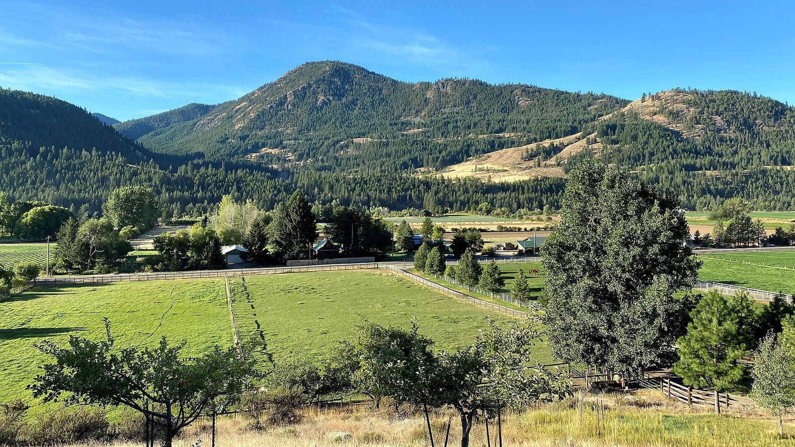 Green pastures, fences and trees along Twisp River Road with forested mountains behind